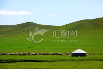 夏季草原牧场蒙古包
