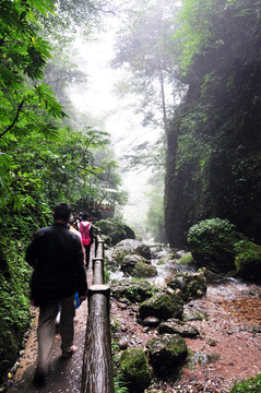 青城后山