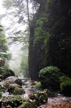 青城后山