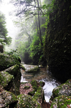 青城后山