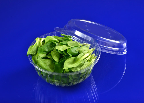 一次性透明塑料蔬菜盒