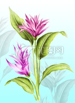 裝飾畫(huà)框