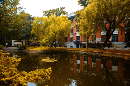 湖南大学