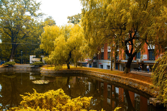 湖南大学