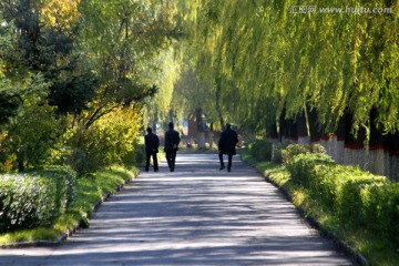 公路 道路