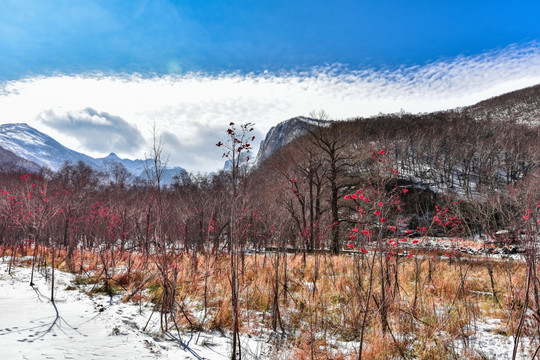 长白山