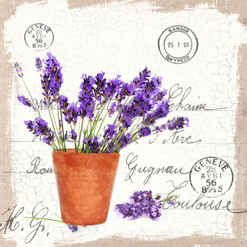 薰衣草 歐美風(fēng)格 英倫風(fēng) 懷舊