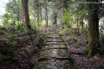 山林古道