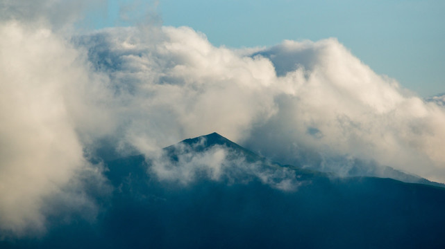 高山草甸