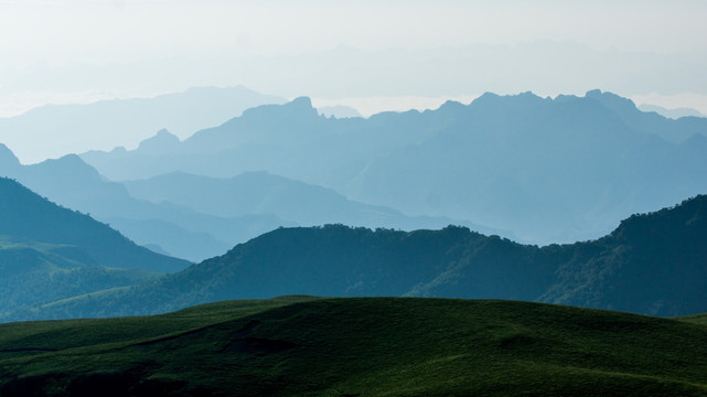 高山草甸