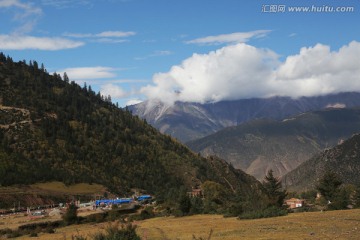 雪域高原 高山草甸