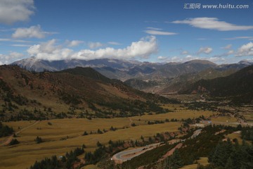 雪域高原 高山草甸