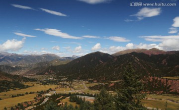 高山草甸