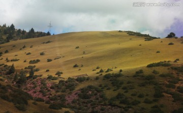 西藏風(fēng)光 高山草甸