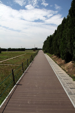 汉景帝 汉阳陵 地面道路