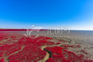 盘锦红海滩