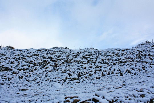 雪山 高原