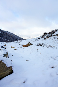 雪山