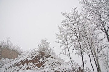 乡村雪景