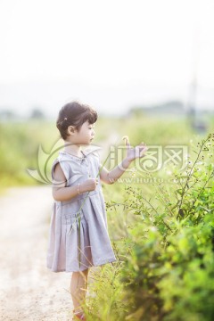 田野小女孩