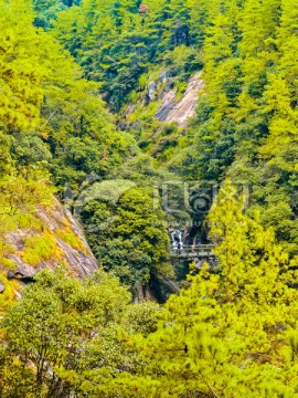 峡谷 溪水