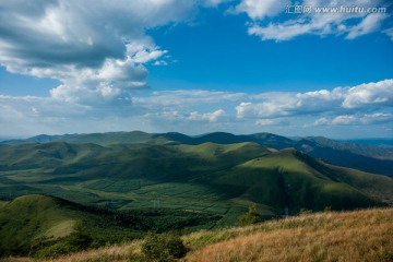 高山草甸