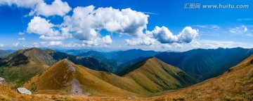 高山草甸