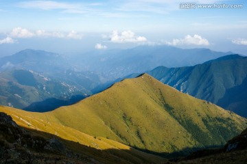 高山草甸