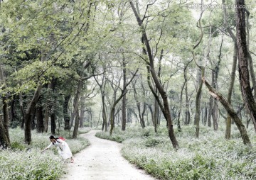 乡村 小径 湿地