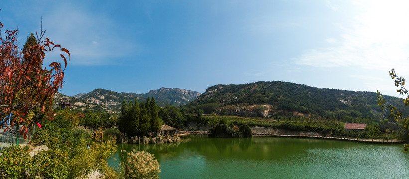 茶山风景