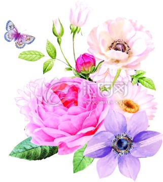 蝴蝶花