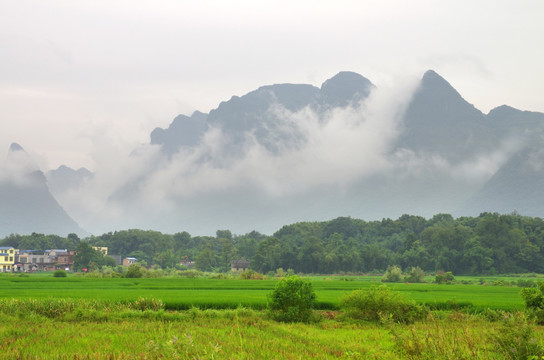 风景