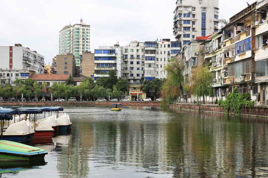 游船 游艇 湖水 城市 建筑