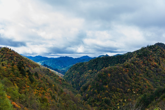 秦岭风光