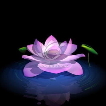 蓮花開放