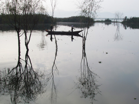 湖泊柳树和小船