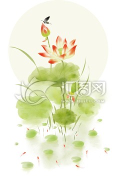 中國風(fēng)荷花
