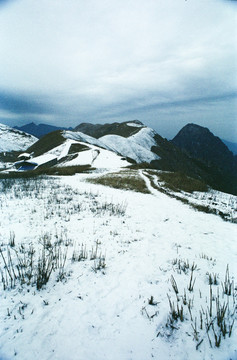 雪景 菲林底片扫描