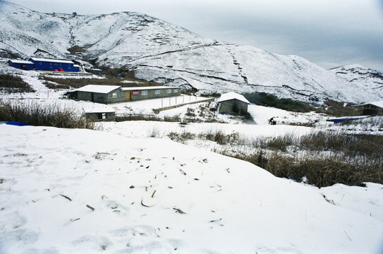 雪景 菲林底片扫描