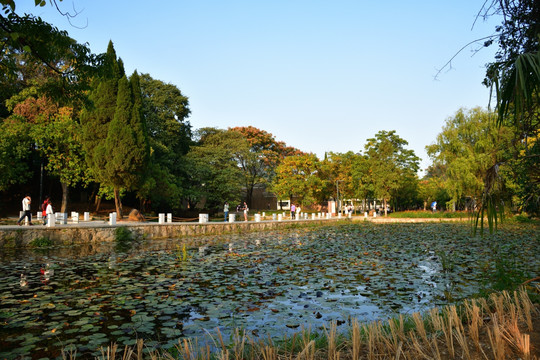 花溪公园 山水风景