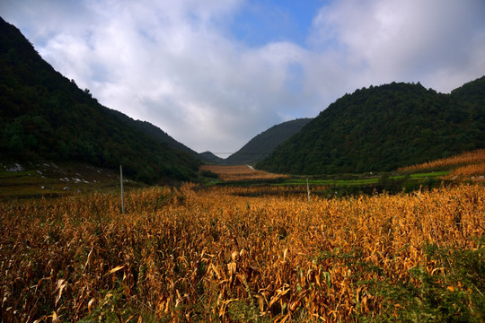 马摆山大草场