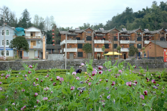 侗族民居