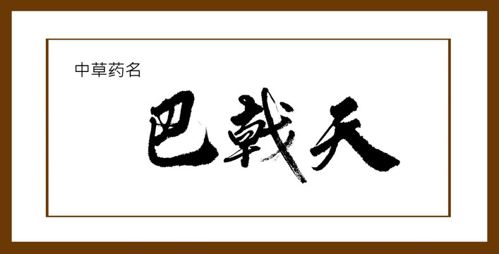 巴戟天
