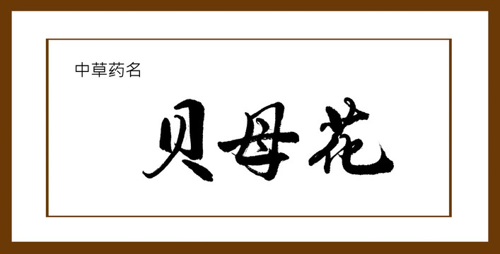 貝母花