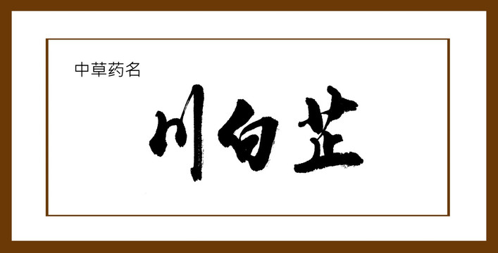 川白芷