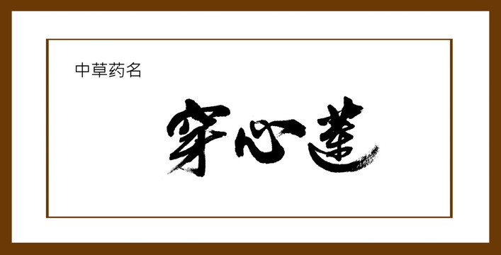 穿心蓮