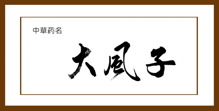 大風(fēng)子