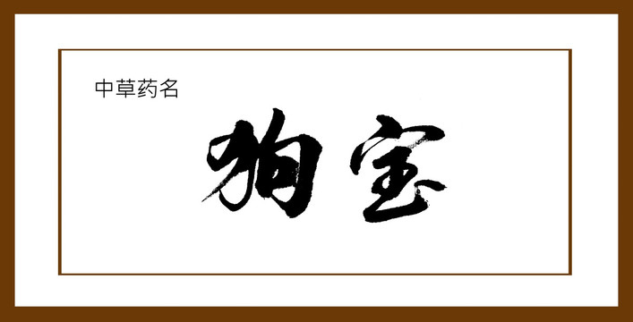 狗寶