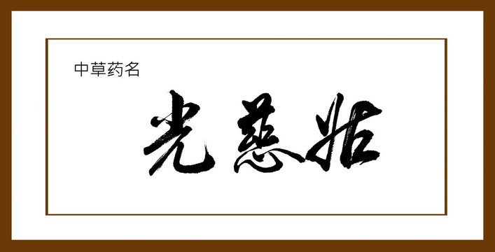 光慈姑