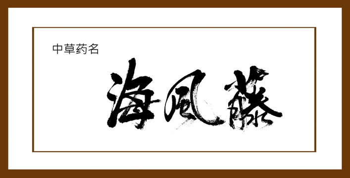 海風(fēng)藤